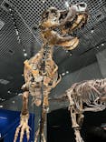 特別展「恐竜博2023」に投稿された画像（2023/6/3）