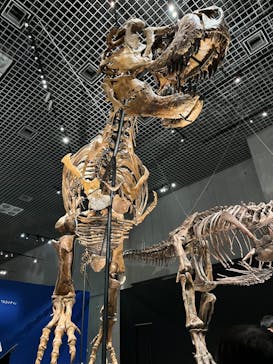 特別展「恐竜博2023」に投稿された画像（2023/6/3）