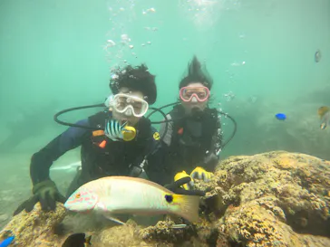 武藤潜水に投稿された画像（2023/6/3）