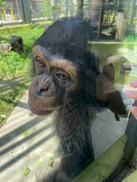 沖縄こどもの国に投稿された画像（2023/6/3）