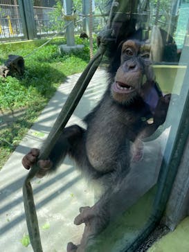 沖縄こどもの国に投稿された画像（2023/6/3）