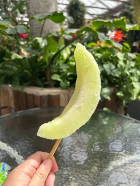 神戸どうぶつ王国に投稿された画像（2023/6/3）