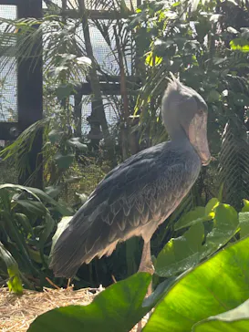 神戸どうぶつ王国に投稿された画像（2023/6/3）