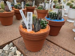 伊豆シャボテン動物公園に投稿された画像（2023/6/3）