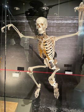 国立科学博物館に投稿された画像（2023/6/3）