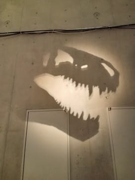 特別展「恐竜博2023」に投稿された画像（2023/6/3）