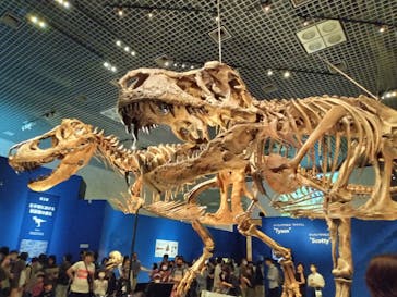 特別展「恐竜博2023」に投稿された画像（2023/6/3）