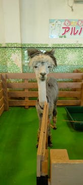 Moff animal world BIGHOPガーデンモール印西店に投稿された画像（2023/6/3）