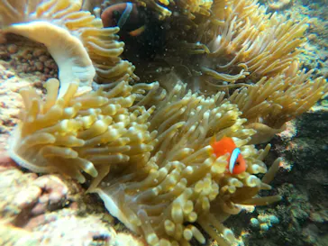 武藤潜水に投稿された画像（2023/6/3）