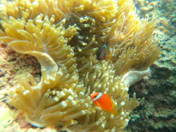 武藤潜水に投稿された画像（2023/6/3）