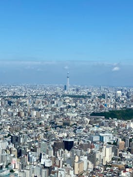 サンシャイン60展望台に投稿された画像（2023/6/3）