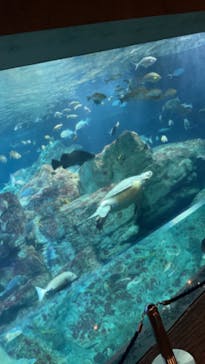 大分マリーンパレス水族館 「うみたまご」に投稿された画像（2023/6/3）