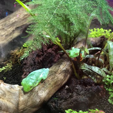 NARA KINGYO MUSEUMに投稿された画像（2023/6/3）