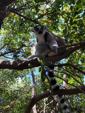 神戸どうぶつ王国に投稿された画像（2023/6/3）