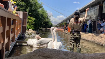 神戸どうぶつ王国に投稿された画像（2023/6/3）