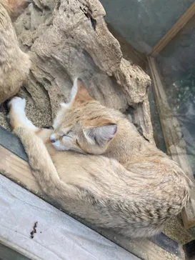 神戸どうぶつ王国に投稿された画像（2023/6/3）