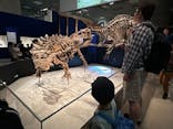 特別展「恐竜博2023」に投稿された画像（2023/6/3）
