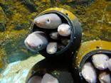 仙台うみの杜水族館に投稿された画像（2023/6/3）