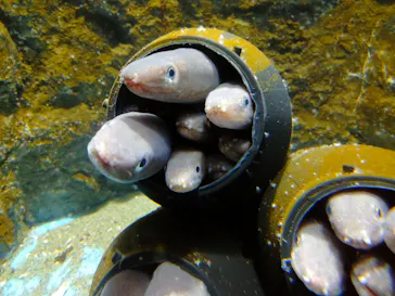 仙台うみの杜水族館に投稿された画像（2023/6/3）