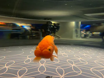 すみだ水族館に投稿された画像（2023/6/3）