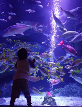 すみだ水族館に投稿された画像（2023/6/3）