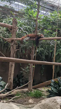 神戸どうぶつ王国に投稿された画像（2023/6/3）