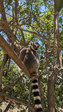 神戸どうぶつ王国に投稿された画像（2023/6/3）