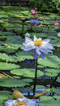 神戸どうぶつ王国に投稿された画像（2023/6/3）