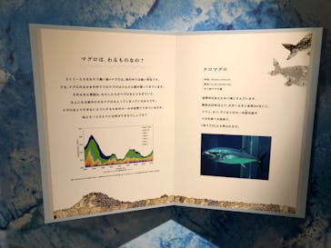 環境水族館アクアマリンふくしまに投稿された画像（2023/6/3）