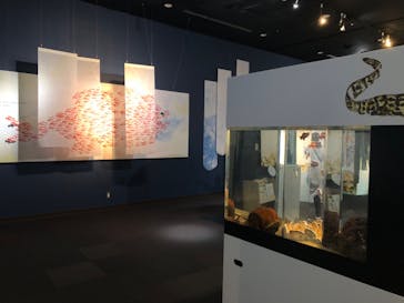 環境水族館アクアマリンふくしまに投稿された画像（2023/6/3）