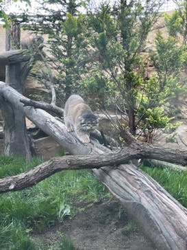 那須どうぶつ王国に投稿された画像（2023/6/3）