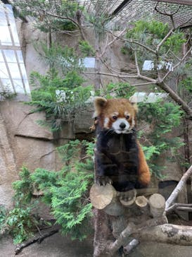 那須どうぶつ王国に投稿された画像（2023/6/3）