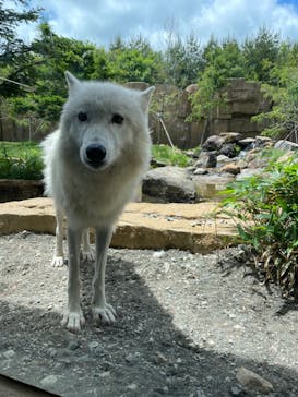 那須どうぶつ王国に投稿された画像（2023/6/3）