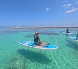 宮古島 ADVENTURE PiPi（ミヤコジマ アドベンチャー ピピ）に投稿された画像（2023/6/3）