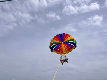 Sea World（シーワールド）に投稿された画像（2023/6/3）