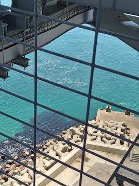 徳島県立 渦の道に投稿された画像（2023/6/3）