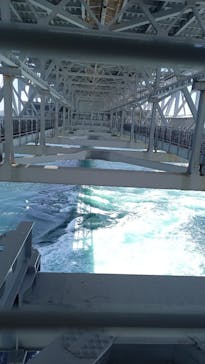 徳島県立 渦の道に投稿された画像（2023/6/3）