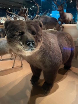 国立科学博物館に投稿された画像（2023/6/3）