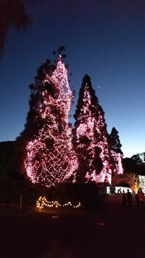 NESTA RESORT KOBE（ネスタリゾート神戸）に投稿された画像（2023/6/3）