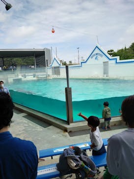 しながわ水族館に投稿された画像（2023/6/3）