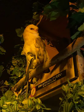 神戸どうぶつ王国に投稿された画像（2023/6/3）