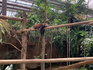 神戸どうぶつ王国に投稿された画像（2023/6/3）