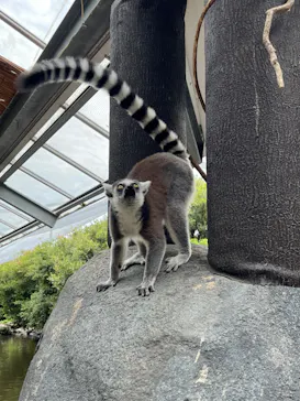 神戸どうぶつ王国に投稿された画像（2023/6/4）