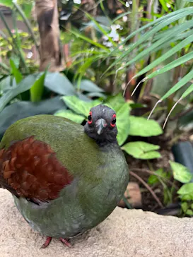 神戸どうぶつ王国に投稿された画像（2023/6/4）