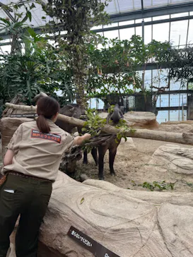 神戸どうぶつ王国に投稿された画像（2023/6/4）