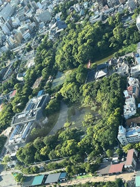 ハルカス300(展望台)に投稿された画像（2023/6/4）