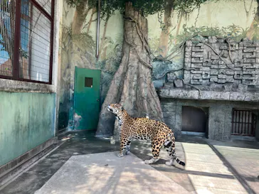 天王寺動物園に投稿された画像（2023/6/4）