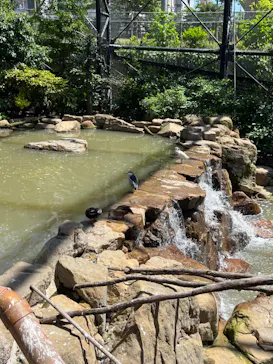 天王寺動物園に投稿された画像（2023/6/4）