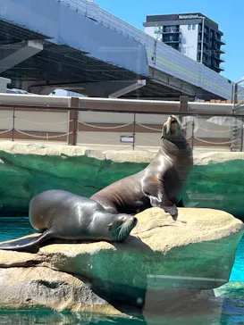 天王寺動物園に投稿された画像（2023/6/4）