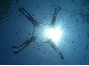 DIVING-SHOP SUNSに投稿された画像（2023/6/4）